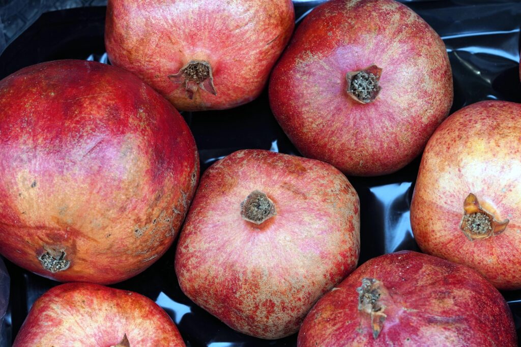 CORSO DI FORMAZIONE OPERATORE QUALIFICATO DEL SETTORE ALIMENTARE